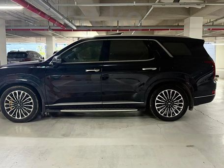 Hyundai Palisade, 2020 — 照片 12