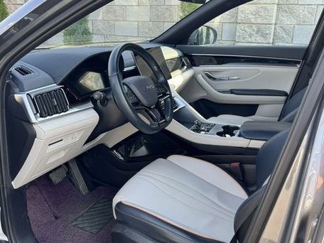 BYD Song Plus, 2024 — photo 13