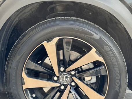 Lexus NX, 2019 — сүрөт 6
