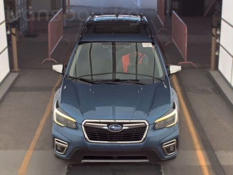 Subaru Forester, 2021 — фото 1