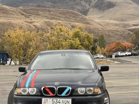 BMW 5 серии, 2001 — 照片 7