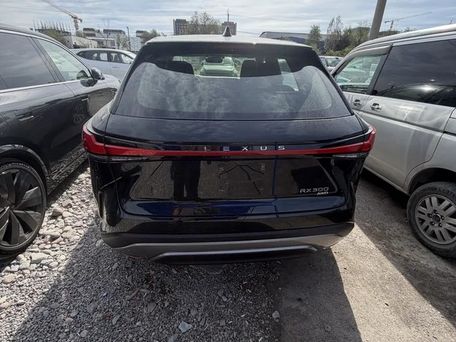 Lexus RX, 2026 — 照片 7