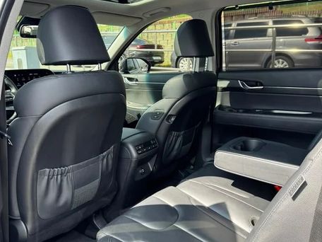 Hyundai Palisade, 2020 — сүрөт 7