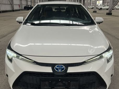Toyota Levin, 2020 — сүрөт 1