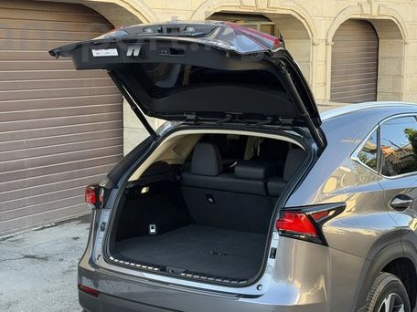 Lexus NX, 2019 — сүрөт 7