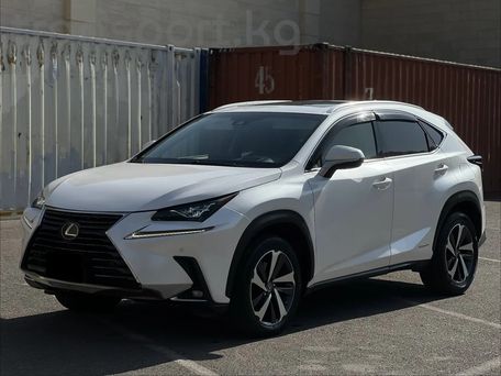 Lexus NX, 2018 — сүрөт 2