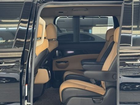 Kia Carnival, 2020 — photo 14