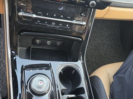 Kia Carnival, 2020 — photo 13