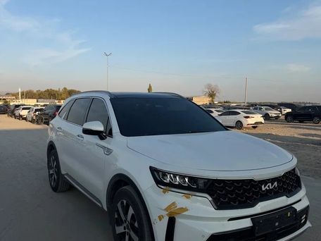 Kia Sorento, 2022 — photo 8