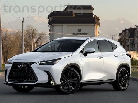 Lexus NX, 2023 — сүрөт 3