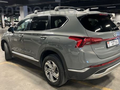 Hyundai Santa Fe, 2022 — фото 6