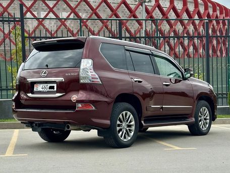 Lexus GX, 2019 — фото 4