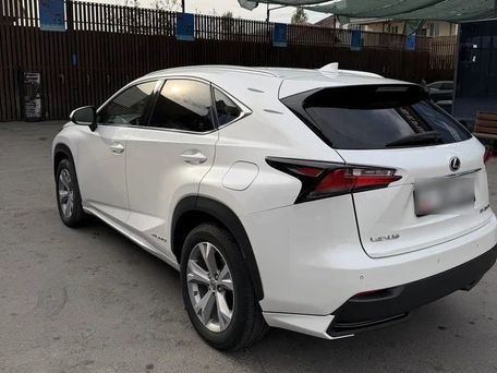 Lexus NX, 2021 — фото 5