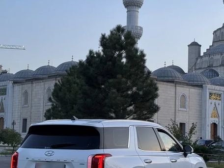 Hyundai Palisade, 2020 — photo 6