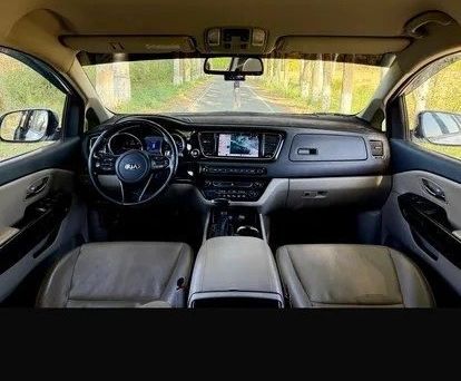 Kia Carnival, 2020 — фото 10