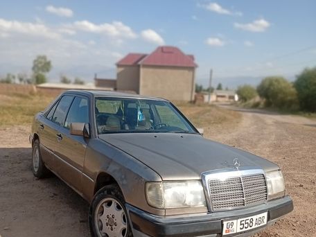 Mercedes-Benz W124, 1992 — 照片 5