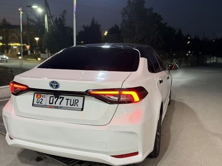 Toyota Corolla, 2019 — 照片 5