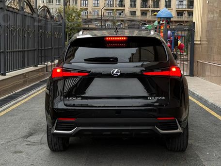 Lexus NX, 2019 — фото 5