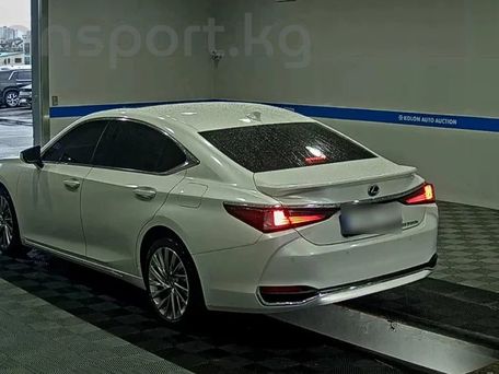 Lexus ES, 2025 — фото 13