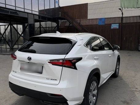 Lexus NX, 2017 — 照片 4