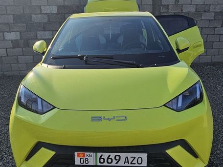 BYD Dolphin, 2023 — 照片 1