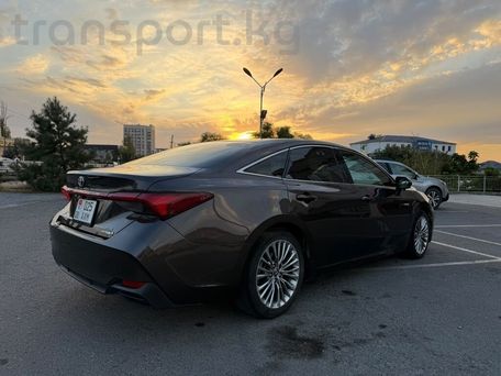 Toyota Avalon, 2019