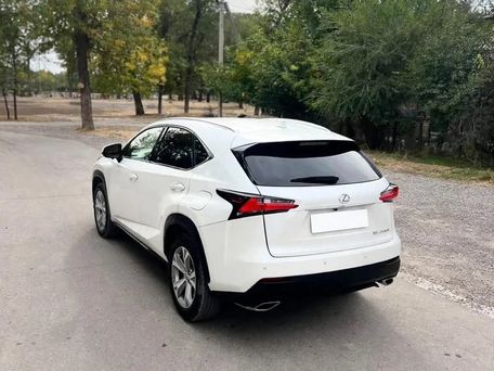 Lexus NX, 2017 — фото 5