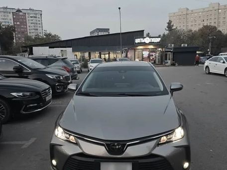 Toyota Corolla, 2021 — 照片 1