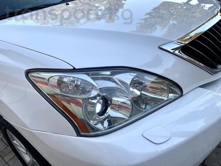 Lexus RX, 2008 — photo 4