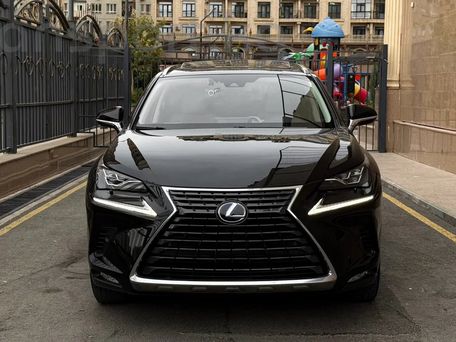 Lexus NX, 2019 — фото 2