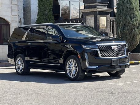 Cadillac Escalade, 2022 — фото 2