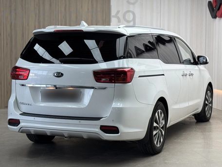 Kia Carnival, 2020 — фото 6