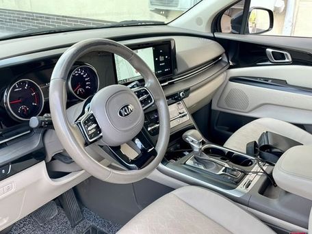 Kia Carnival, 2021 — фото 10
