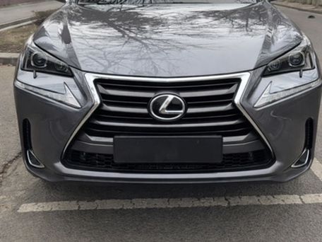 Lexus NX, 2017 — фото 1