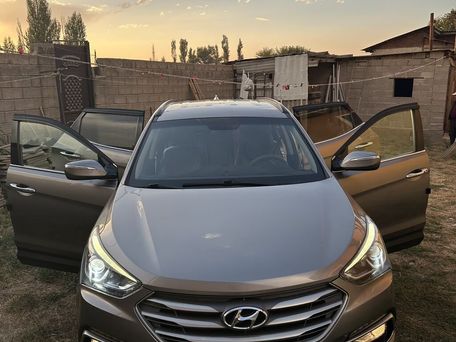 Hyundai Santa Fe, 2017 — фото 10