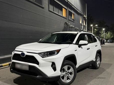 Toyota RAV4, 2019