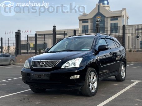 Lexus RX, 2004 — photo 1