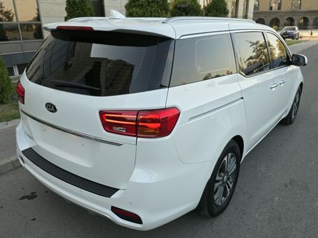 Kia Carnival, 2019 — фото 14