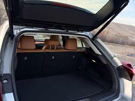 Lexus UX, 2019 — photo 13