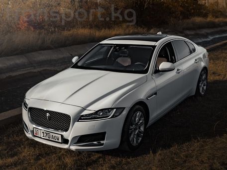 Jaguar XF, 2017 — фото 4