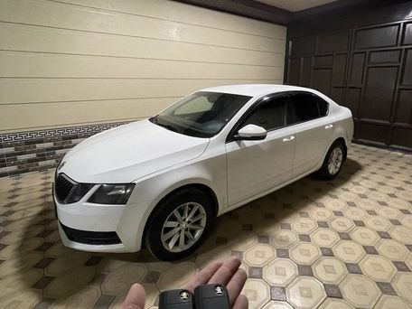Skoda Octavia, 2019 — фото 10