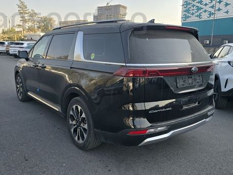 Kia Carnival, 2020 — photo 9