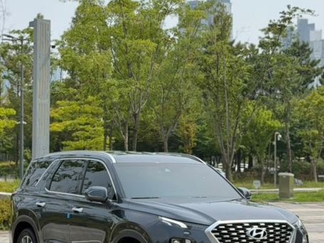 Hyundai Palisade, 2020 — сүрөт 3