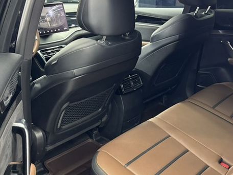 BYD Tang, 2020 — 照片 7