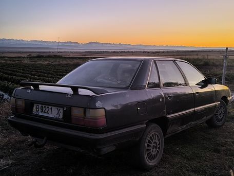 Audi 100, 1988 — photo 2