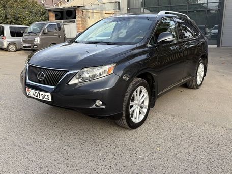 Lexus RX, 2010 — фото 10
