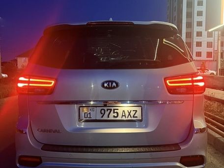 Kia Carnival, 2019 — фото 6