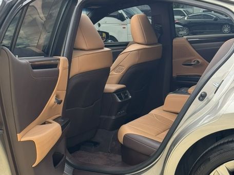 Lexus ES, 2020 — сүрөт 19