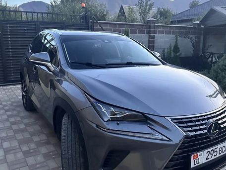 Lexus NX, 2021 — фото 2