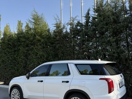Hyundai Palisade, 2020 — 照片 4